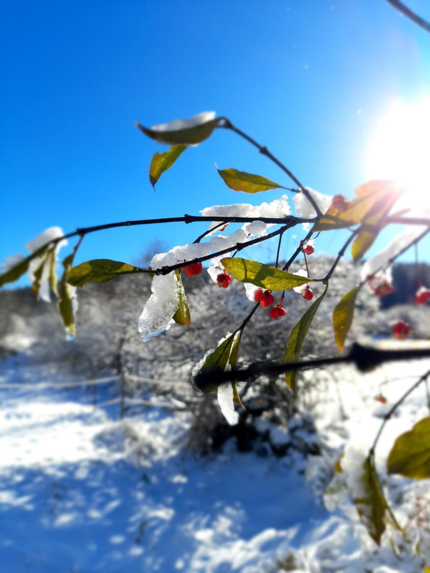 Stara Hiza Βίλα Lanisce Εξωτερικό φωτογραφία